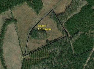 TRACT 4 County Road 255, San Augustine, TX 75972