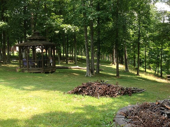 Large wooded yard