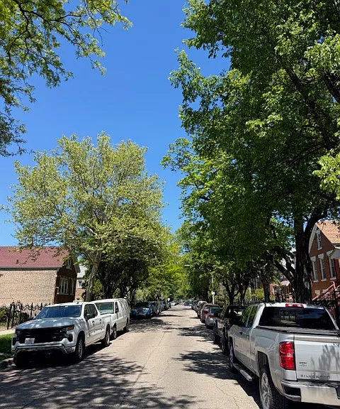 3035 S Christiana Ave #1 — Photo 9