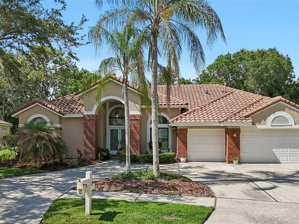 17722 Grey Eagle Rd, Tampa, FL 33647