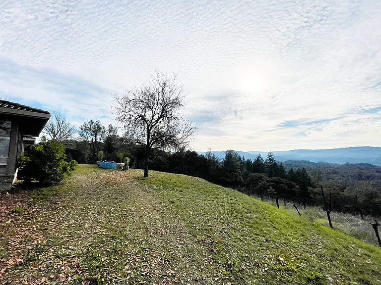 24401 Rich Ranch Rd — Photo 47