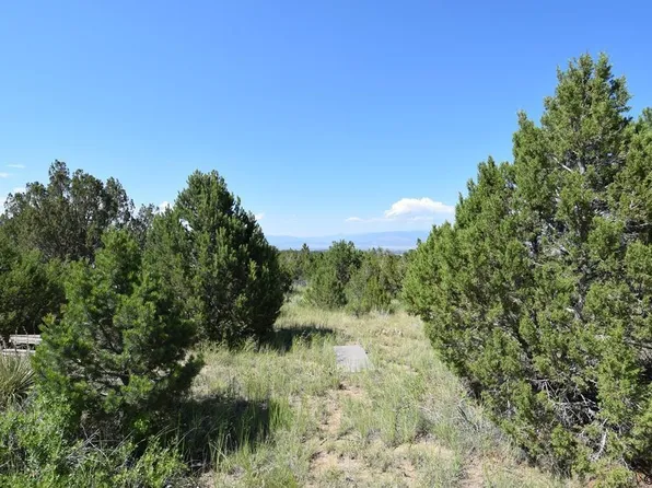 973 Twin Creek Rd, Florence, CO 81226