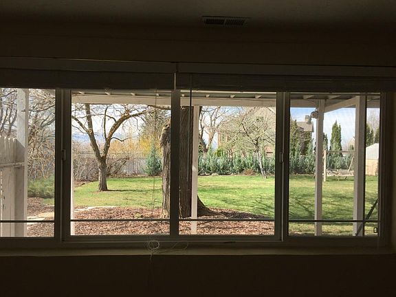 Window view of yard