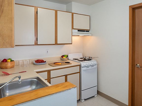 Electric Stove and Range