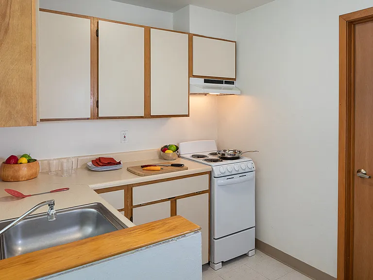Electric Stove and Range