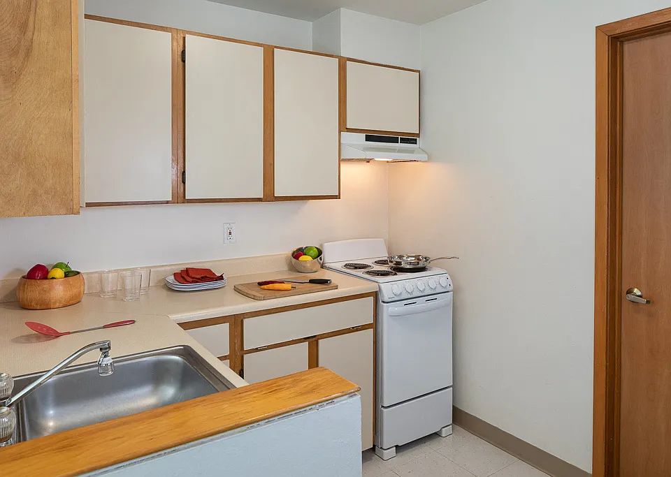 Electric Stove and Range