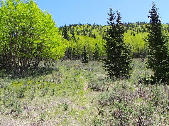 3rd image of 000 South Highway 67