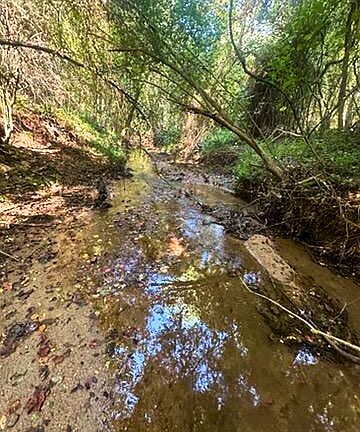 2nd image of 2607 Hughes Rd