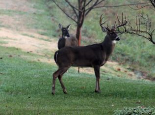 711 Harold Dr, Maryville, TN 37803