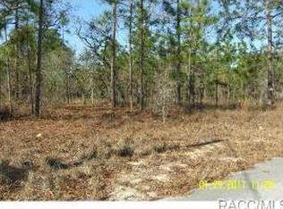 25 Oak Village Blvd, Homosassa, FL 34446