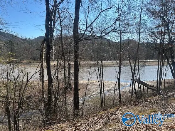 330 County Road 165, Cedar Bluff, AL 35959