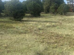 Lot 342 Bear Cub, Ridgway, CO 81432