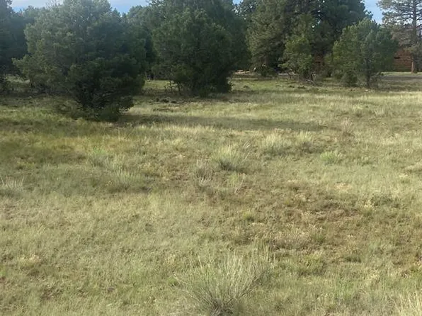 Lot 342 Bear Cub Drive, Ridgway, CO 81432