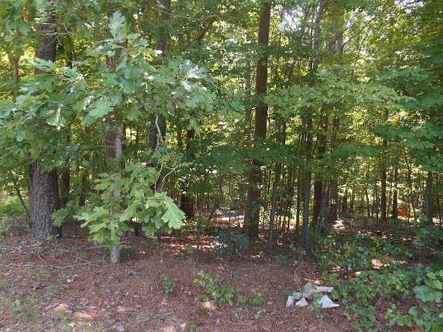2nd image of Township Road 1 & 2 Nc 42 Highway Lot Tract 1&2