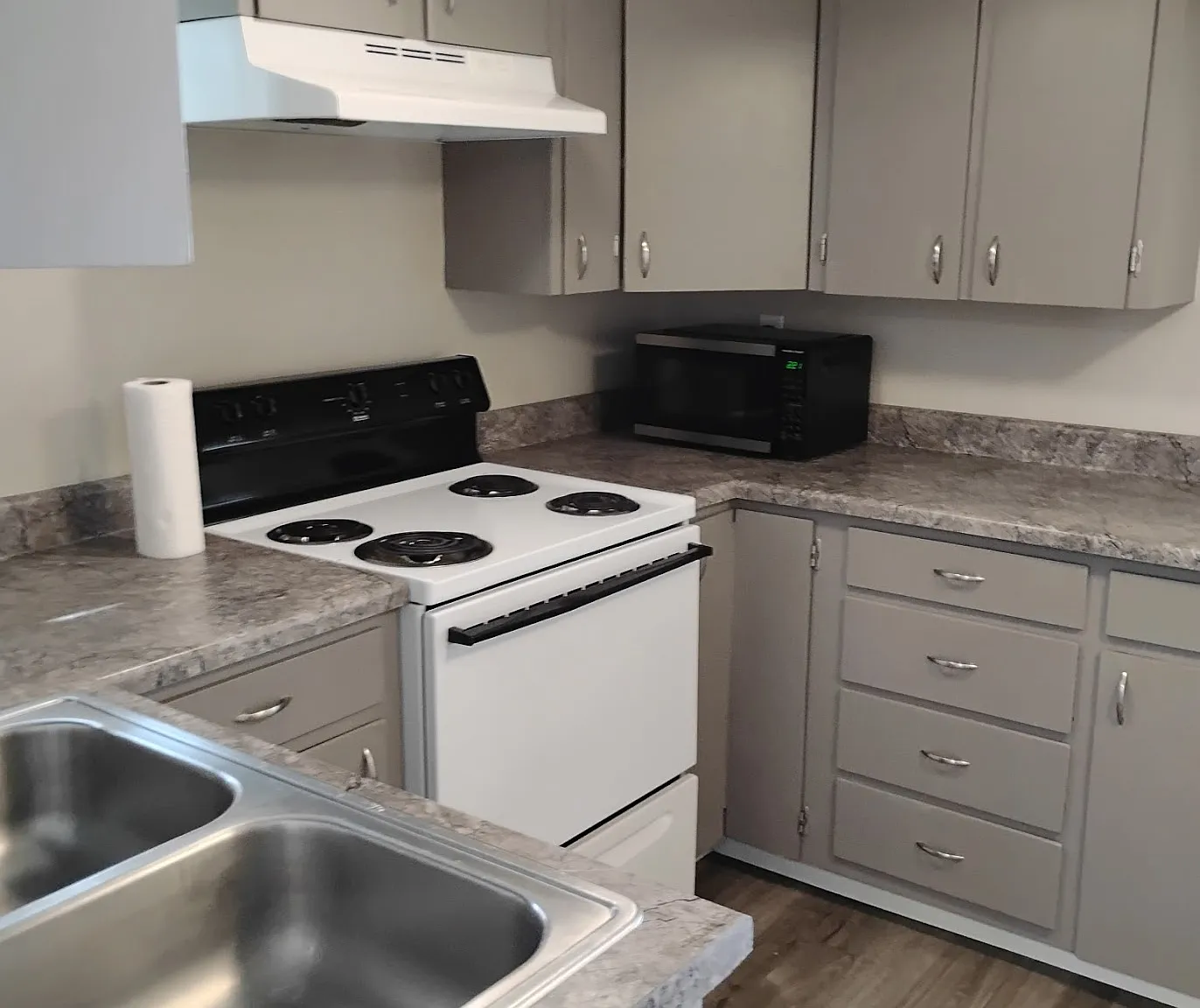 1 bed, 1237 sqft, $1,450 — Photo 4