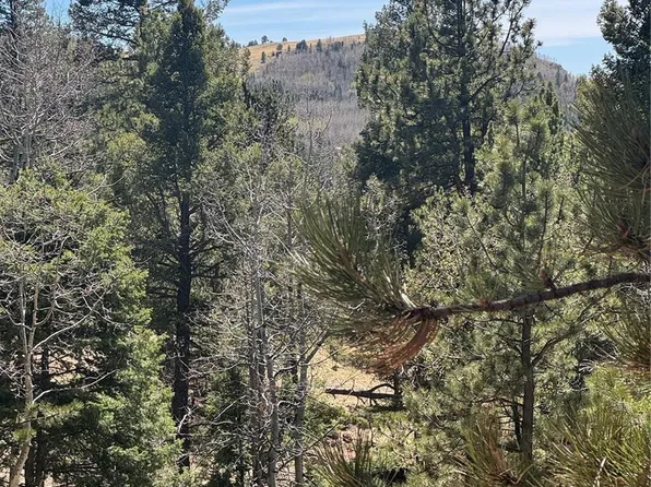 288 Troy Drive LOT 140, Cripple Creek, CO 80813