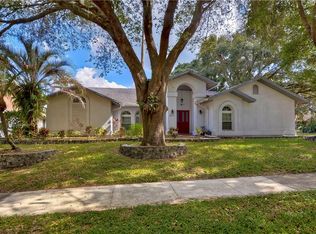 2512 Arborwood Dr, Valrico, FL 33596