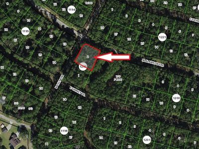 8426 N Alameda Dr, Citrus Springs, FL, 34434
