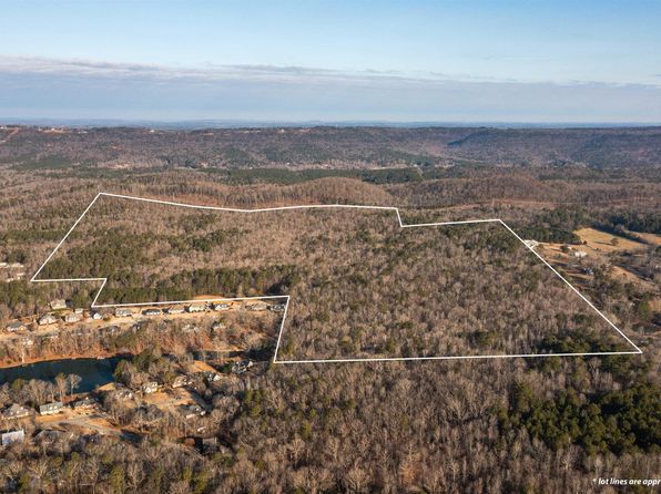 0 Monarch Rd #4, Springville, AL 35146