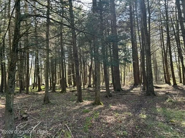 George Dr, Pocono Lake, PA 18347