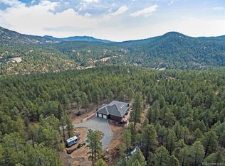 28934 Amerind Springs Trl, Pine, CO 80470