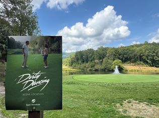 36 Bee Tree Poin, Lake Lure, NC 28746