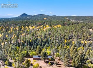 695 Elk Creek Dr, Divide, CO 80814