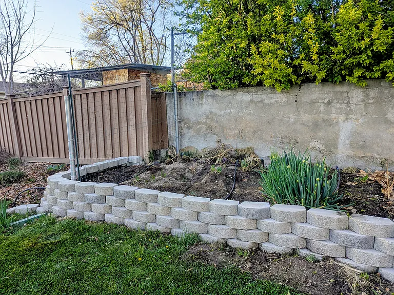 Raised garden bed with kale, garlic and chives