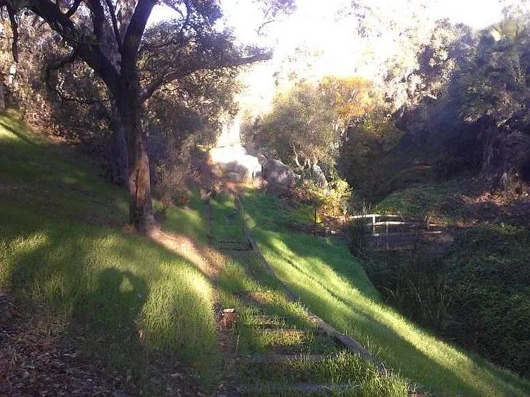 Farm