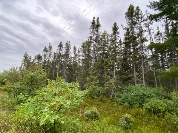 11301 N Whitefish Point Rd, Paradise, MI 49768