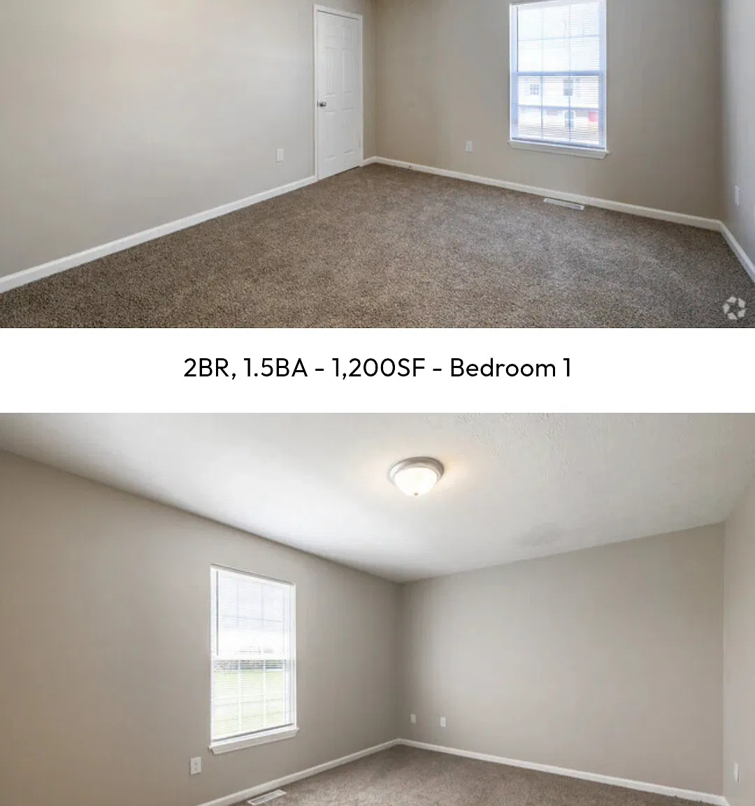 2 bed, 1.5 bath, $1,100 — Photo 4