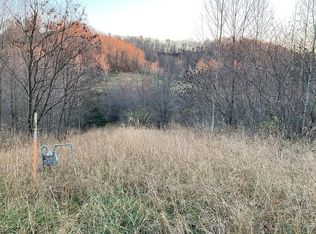 4667 Keeners Ridge Rd, Frametown, WV 25063