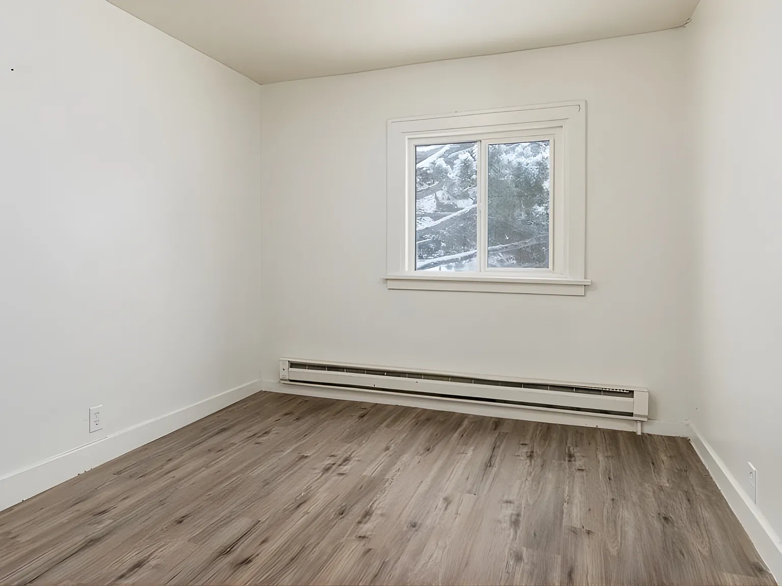 723 W. Lewis Street — Photo 4