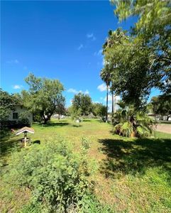 317 N 6th St, Donna, TX, 78537
