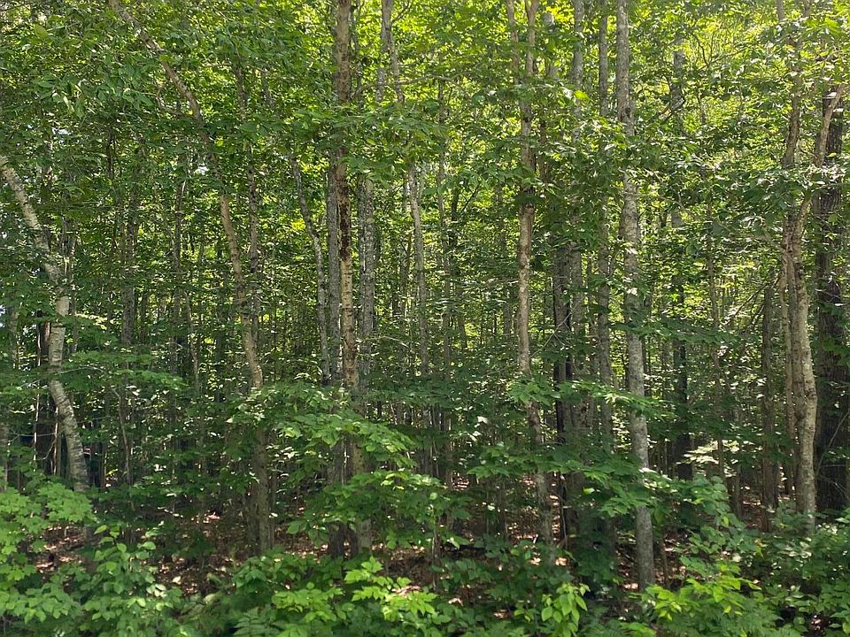 2nd image of Lot #15 York Road