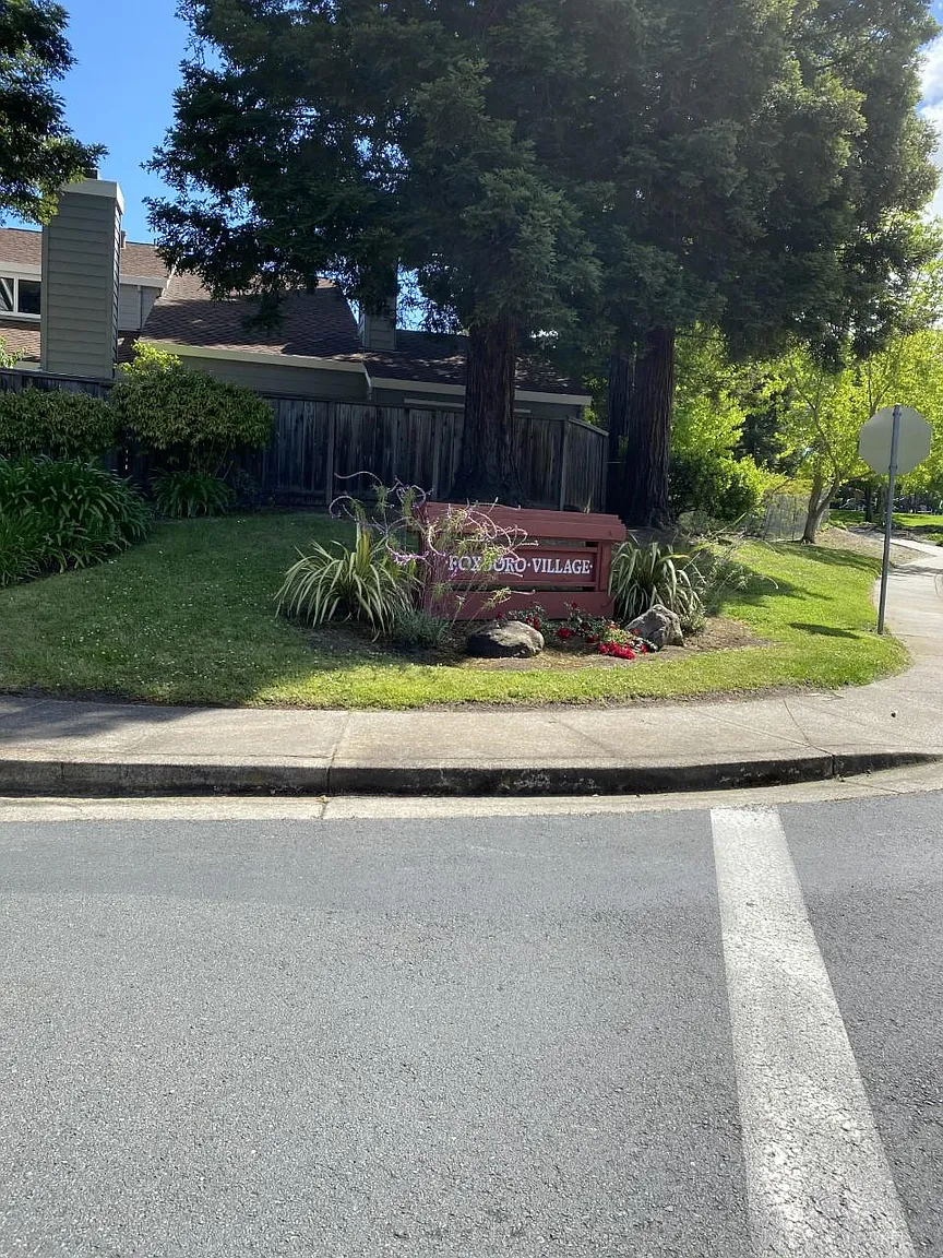 101 Sheffield photo 1
