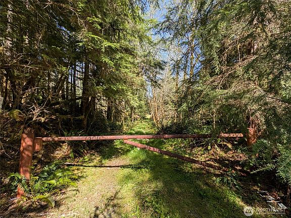 3rd image of 999 Hoh River Park Drive