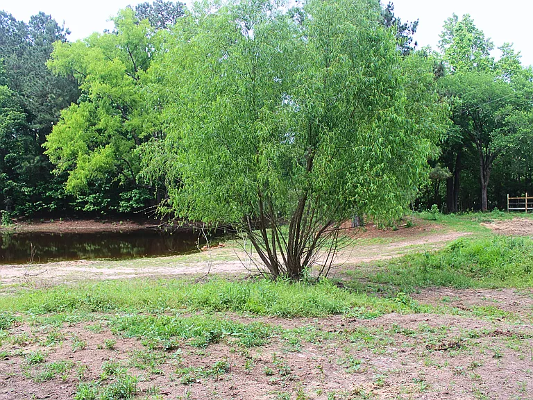 2850 County Road 233D — Photo 27