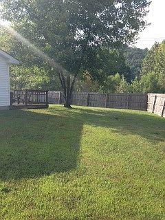Side Yard/Backyard 