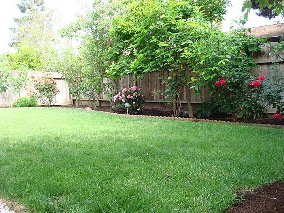 Garden with fruit trees