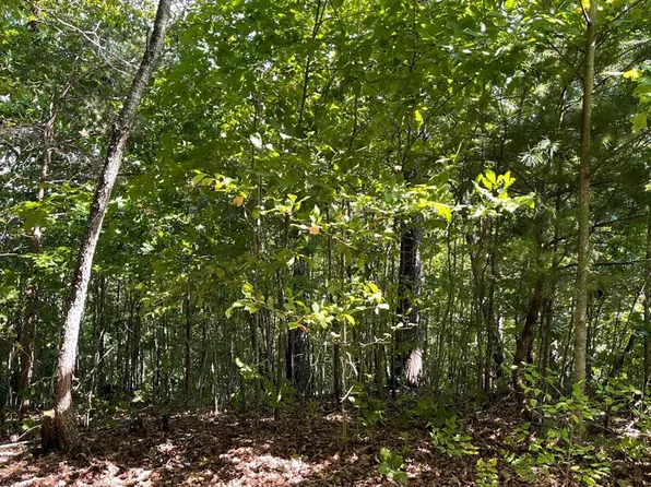 LOT 10 Longview Dr, Hayesville, NC 28904