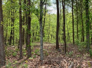 1358 Hunter Dr, Ranger, GA 30734
