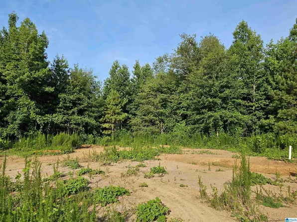 560 County Road 129 #182309310000006.005, Ranburne, AL 36273