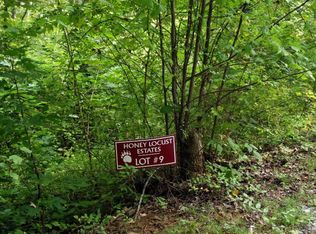 645 Thomas Cove Rd, Whittier, NC 28789