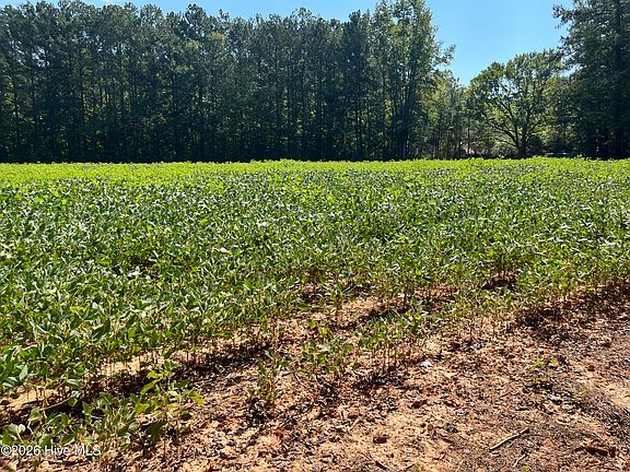 2nd image of 9011 Pleasant Grove Church Road
