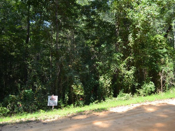 419 Magnolia Dr, Highland Home, AL 36041