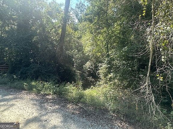 4th image of 0 Millen Rd Tract 22