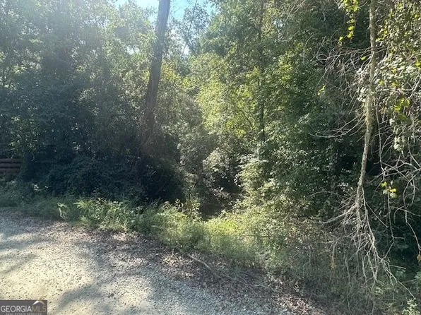 0 Millen Rd Tract 21, Monticello, GA 31064