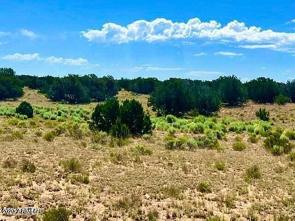 5th image of TBD N7298 Lots 104 & 105 80 Acres -- #104