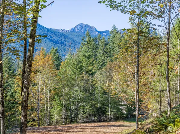 0 NKA Mt Pleasant Road, Port Angeles, WA 98362